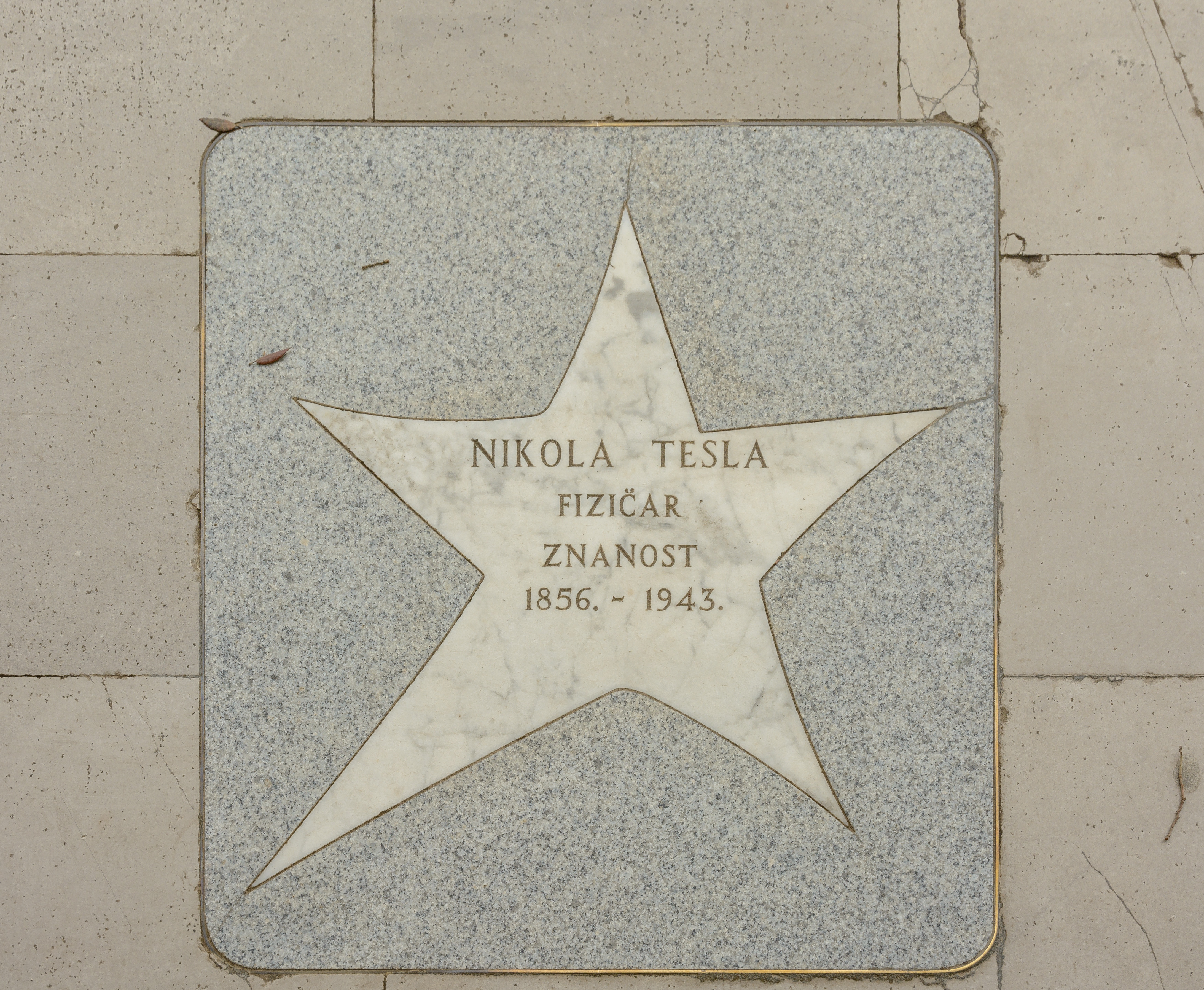 Tesla classic portrait.