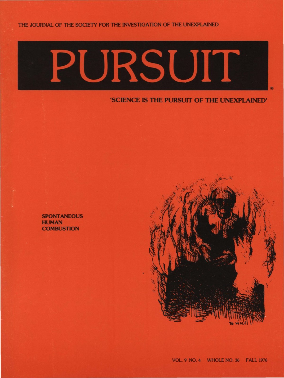 Pursuit (SITU) cover