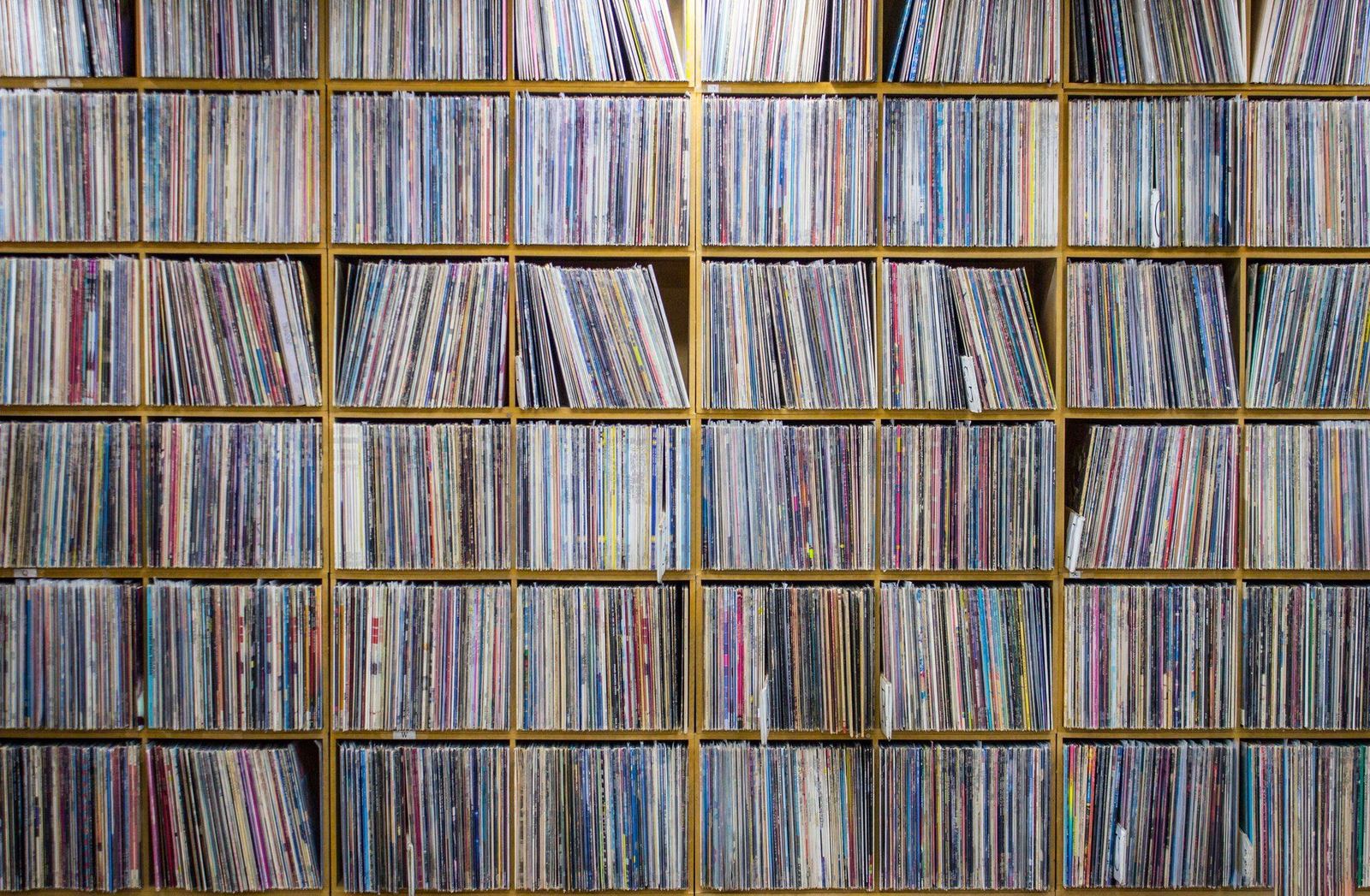 A wall of catalogued records, representing the archive's reference glossary.